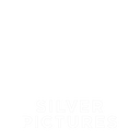 Silver20Picture.png
