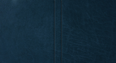 Buchtextur_Leder_blau
