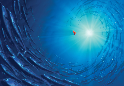 FindetNemo_01

