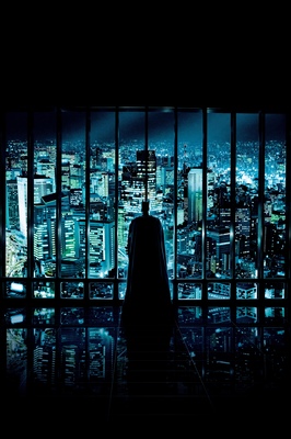 BatmanTheDarkKnight_13

