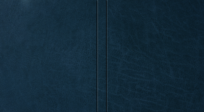 Buchtextur_Leder_Blu-Ray_Elite
