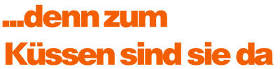 dennzumküssensindsieda_Titel_01
