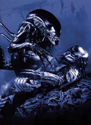 AVP_08
