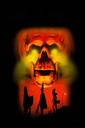 Dateiname=Halloween20320-20Die20Nacht20der20Entscheidung20281982292006.jpg
Dateigröße=2710KB
Abmessungen: 2000x3000
hinzugefügt am: 07. Oktober 2024 Halloween20320-20Die20Nacht20der20Entscheidung20281982292006.jpg