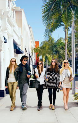 Bling Ring, The (2013) 01
