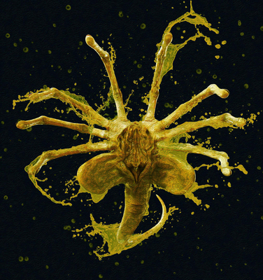 Alien - Romulus (2024) 09
