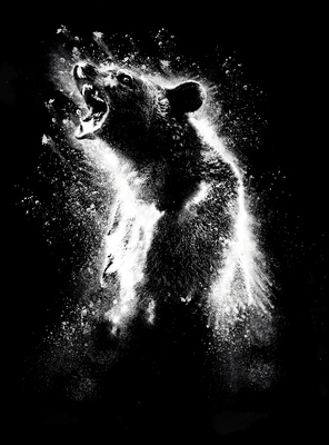 Cocaine Bear (2023) 01
