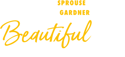 Beautiful Disaster (2023) Logo
