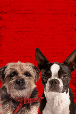 Doggy Style (2023) 02
