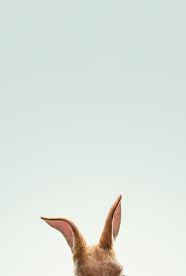 Peter Hase (2018) 03
