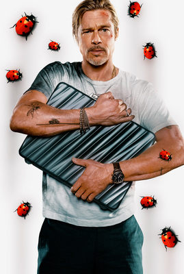 Bullet Train (2022) 10
