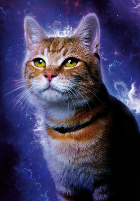 Marvels, The (2023) 10
