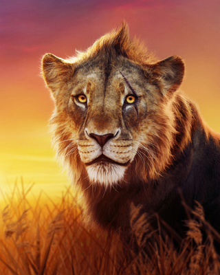 Mufasa - Der König der Löwen (2024) 06
