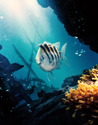 Arielle, die Meerjungfrau (2023) 09
