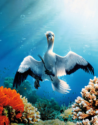 Arielle, die Meerjungfrau (2023) 11
