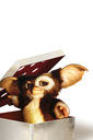 Dateiname=Gremlins20-20kleine20Monster20281984292008.jpg
Dateigröße=1069KB
Abmessungen: 2000x3000
hinzugefügt am: 09. Februar 2026 Gremlins20-20kleine20Monster20281984292008.jpg