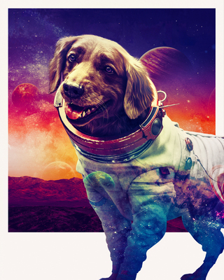 Guardians of the Galaxy Vol. 3 (2023) 07
