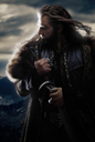 Hobbit2C20Der20-20Smaugs20Einoede20282013292014.jpg
