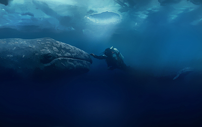 Ruf der Wale, Der (2012) 02
