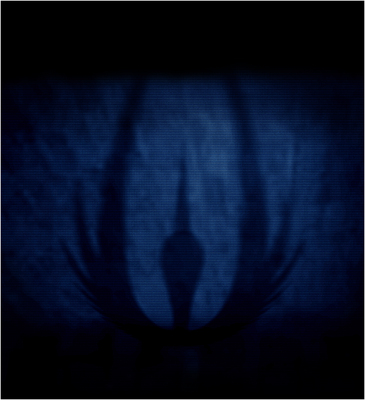 Scary Movie V (2013) 02
